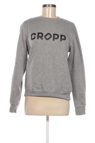 Damen Shirt Cropp, Größe S, Farbe Grau, Preis € 2,99