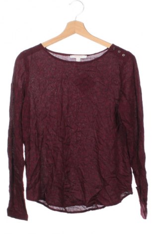 Γυναικεία μπλούζα Esprit, Μέγεθος XS, Χρώμα Πολύχρωμο, Τιμή 2,99 €