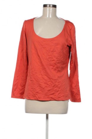 Damen Shirt Madeleine, Größe L, Farbe Orange, Preis € 1,99