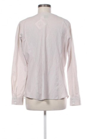 Damenbluse Body Flirt, Größe XL, Farbe Mehrfarbig, Preis € 9,99