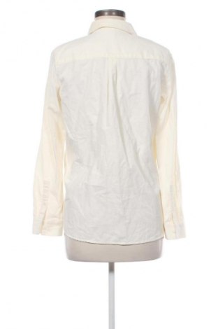 Damenbluse Christian Berg, Größe M, Farbe Gelb, Preis € 5,66