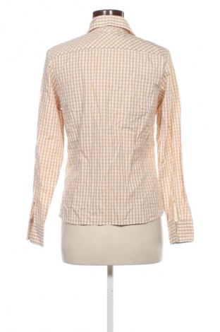 Damenbluse Gloriette, Größe M, Farbe Mehrfarbig, Preis 1,99 €