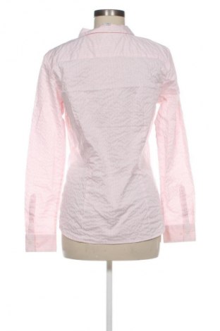 Damenbluse H&M, Größe XL, Farbe Mehrfarbig, Preis € 1,99