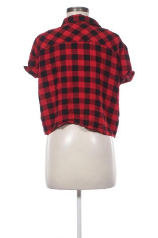 Damska koszula Terranova, Rozmiar XL, Kolor Kolorowy, Cena 33,07 zł