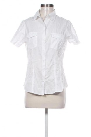 Damenbluse Terranova, Größe M, Farbe Weiß, Preis 5,99 €