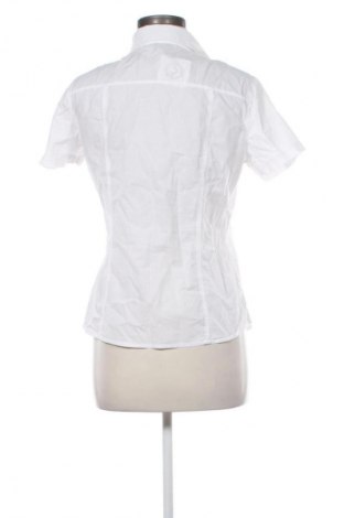 Damenbluse Terranova, Größe M, Farbe Weiß, Preis 5,99 €