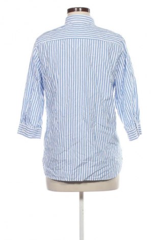 Damenbluse Walbusch, Größe M, Farbe Mehrfarbig, Preis € 14,99