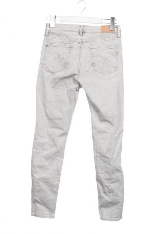 Damen Jeans Calvin Klein Jeans, Größe S, Farbe Grau, Preis € 28,65