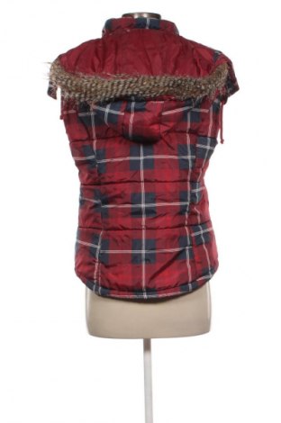 Γυναικείο γιλέκο FLG, Μέγεθος M, Χρώμα Πολύχρωμο, Τιμή 2,99 €