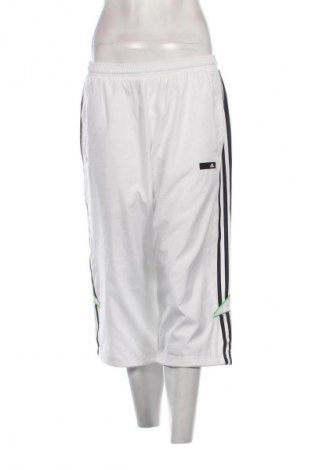 Γυναικείο κοντό παντελόνι Adidas, Μέγεθος M, Χρώμα Λευκό, Τιμή 11,99 €