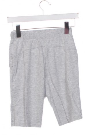 Dámske kraťasy  Anna Field, Veľkosť XS, Farba Sivá, Cena  1,95 €