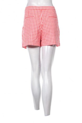 Damen Shorts Lacoste, Größe L, Farbe Mehrfarbig, Preis € 25,00