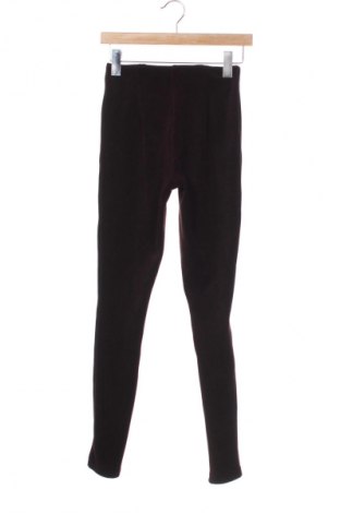 Dámské legíny  Next, Velikost XS, Barva Hnědá, Cena  189,00 Kč