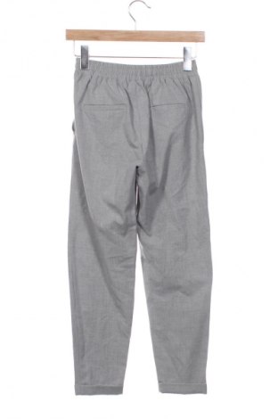 Damskie spodnie Bershka, Rozmiar XS, Kolor Szary, Cena 13,99 zł