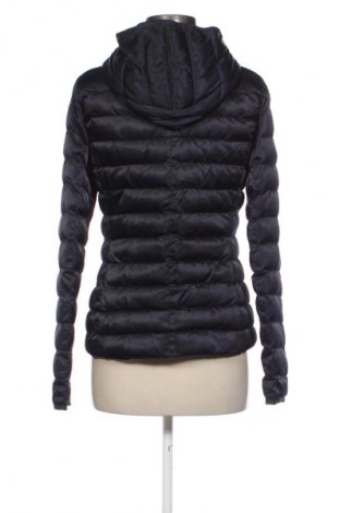 Kurtka damska Dapper, Rozmiar M, Kolor Niebieski, Cena 200,92 zł