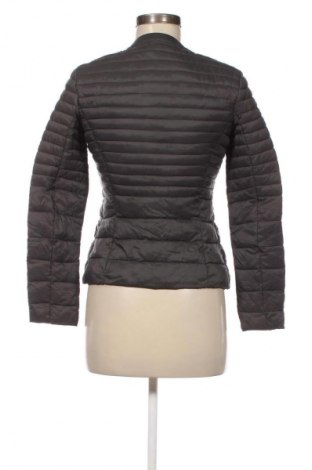 Γυναικείο μπουφάν Sisley, Μέγεθος XS, Χρώμα Γκρί, Τιμή 22,99 €