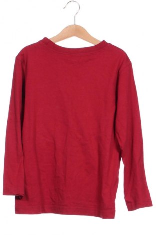 Detská blúzka  Crazy, Veľkosť 5-6y/ 116-122 cm, Farba Viacfarebná, Cena  1,95 €