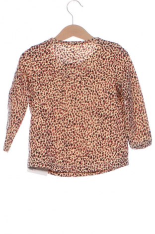 Gyerek blúz Lupilu, Méret 18-24m / 86-98 cm, Szín Sokszínű, Ár 799 Ft
