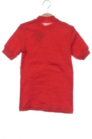 Detská blúzka  Unbranded, Veľkosť 10-11y/ 146-152 cm, Farba Červená, Cena  1,95 €