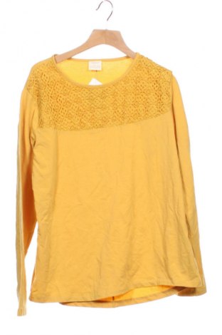 Detská blúzka  Zara, Veľkosť 12-13y/ 158-164 cm, Farba Žltá, Cena  6,95 €