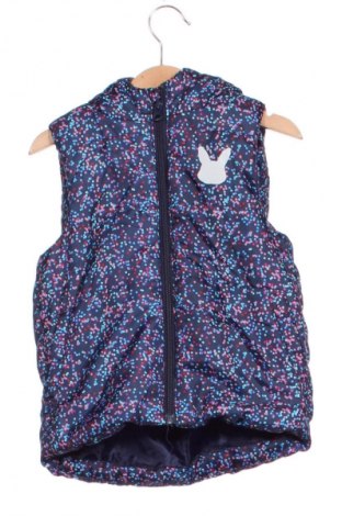 Παιδικό γιλέκο Lupilu, Μέγεθος 4-5y/ 110-116 εκ., Χρώμα Πολύχρωμο, Τιμή 5,99 €