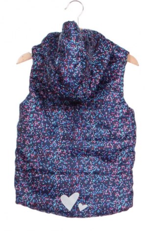 Παιδικό γιλέκο Lupilu, Μέγεθος 4-5y/ 110-116 εκ., Χρώμα Πολύχρωμο, Τιμή 5,99 €