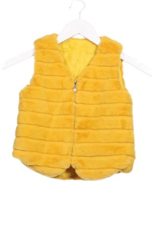 Παιδικό γιλέκο Unbranded, Μέγεθος 3-4y/ 104-110 εκ., Χρώμα Κίτρινο, Τιμή 9,99 €