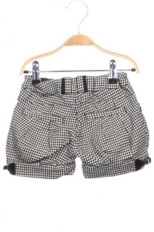 Dziecięce szorty Kids, Rozmiar 2-3m/ 56-62 cm, Kolor Kolorowy, Cena 6,99 zł