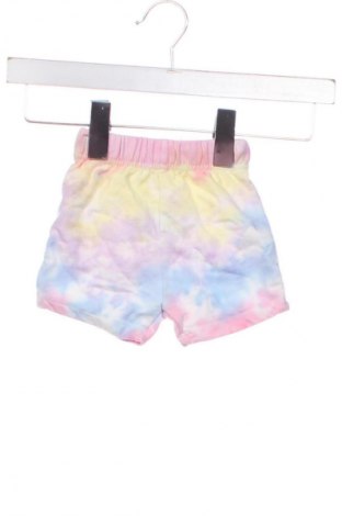 Dziecięce szorty Pepco, Rozmiar 3-6m/ 62-68 cm, Kolor Kolorowy, Cena 6,99 zł