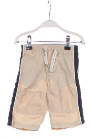 Kinderhose Gap Baby, Größe 3-6m/ 62-68 cm, Farbe Beige, Preis 1,99 €