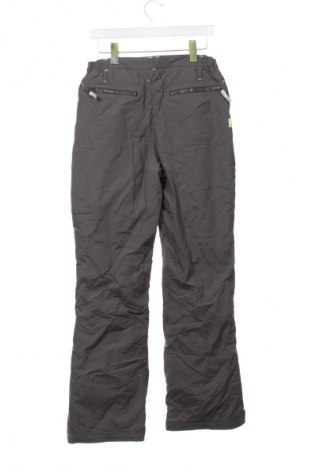 Spodnie dziecięce do sportów zimowych Unbranded, Rozmiar 15-18y/ 170-176 cm, Kolor Szary, Cena 69,99 zł