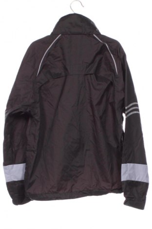 Παιδικό μπουφάν Campus, Μέγεθος 6-7y/ 122-128 εκ., Χρώμα Πολύχρωμο, Τιμή 2,99 €