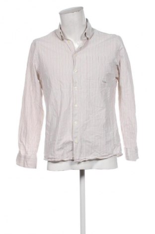 Pánská košile  Casual Friday, Velikost L, Barva Vícebarevné, Cena  159,00 Kč