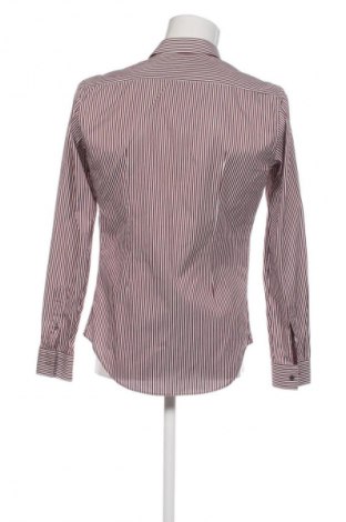 Pánská košile  Zara, Velikost M, Barva Vícebarevné, Cena  239,00 Kč