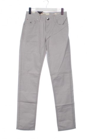 Мъжки панталон Teodor, Размер S, Цвят Сив, Цена 55,22 €