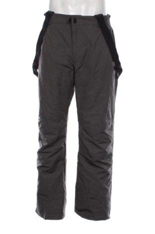 Pantaloni bărbătești pentru sporturi de iarnă Ziener, Mărime L, Culoare Gri, Preț 534,99 Lei