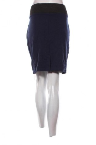 Sukňa Reserved, Veľkosť L, Farba Modrá, Cena  1,95 €