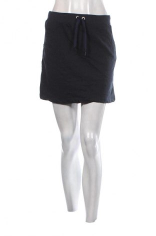 Sukňa Unbranded, Veľkosť L, Farba Modrá, Cena  1,95 €