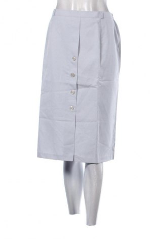 Sukňa Unbranded, Veľkosť L, Farba Sivá, Cena  5,95 €