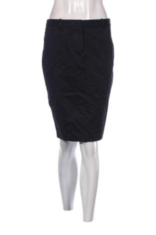 Φούστα Zara, Μέγεθος L, Χρώμα Μπλέ, Τιμή 8,99 €