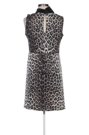 Sukienka Evita, Rozmiar L, Kolor Kolorowy, Cena 78,07 zł