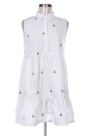 Φόρεμα Fisherfield, Μέγεθος M, Χρώμα Πολύχρωμο, Τιμή 13,99 €