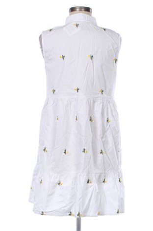 Φόρεμα Fisherfield, Μέγεθος M, Χρώμα Πολύχρωμο, Τιμή 13,99 €