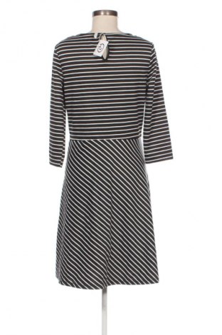 Šaty  Laura Torelli, Veľkosť M, Farba Viacfarebná, Cena  4,95 €