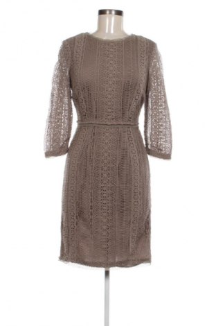 Sukienka Massimo Dutti, Rozmiar M, Kolor Brązowy, Cena 117,99 zł