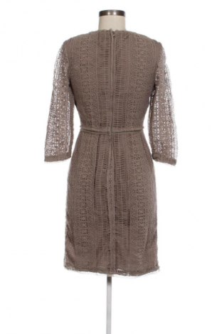 Sukienka Massimo Dutti, Rozmiar M, Kolor Brązowy, Cena 117,99 zł