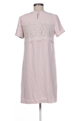 Kleid Next, Größe M, Farbe Aschrosa, Preis € 8,02