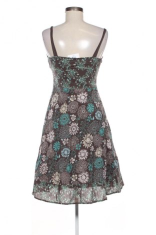 Sukienka Papaya, Rozmiar M, Kolor Kolorowy, Cena 40,99 zł