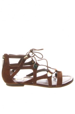 Σανδάλια Unbranded, Μέγεθος 36, Χρώμα Καφέ, Τιμή 23,99 €