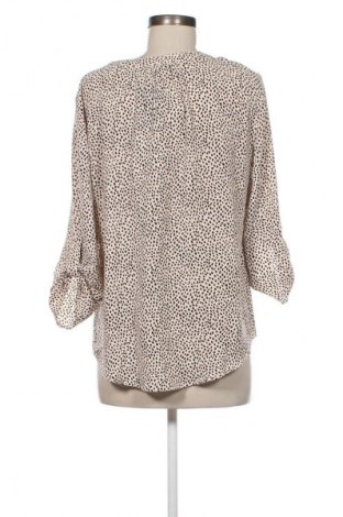 Γυναικεία μπλούζα 41 Hawthorn, Μέγεθος M, Χρώμα Πολύχρωμο, Τιμή 17,99 €